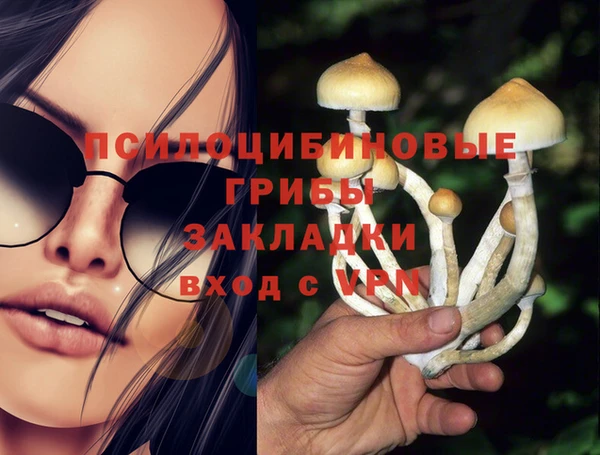 ешки Беломорск